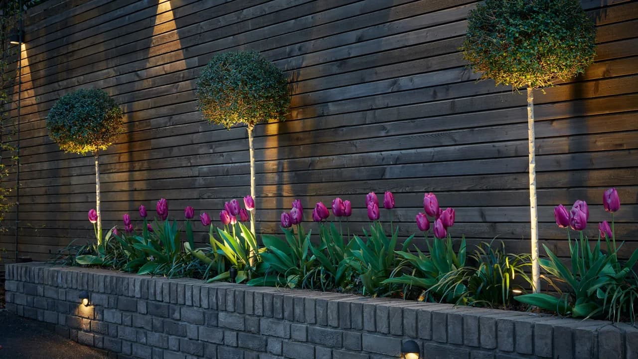 Wildlife Friendly Outdoor Lighting