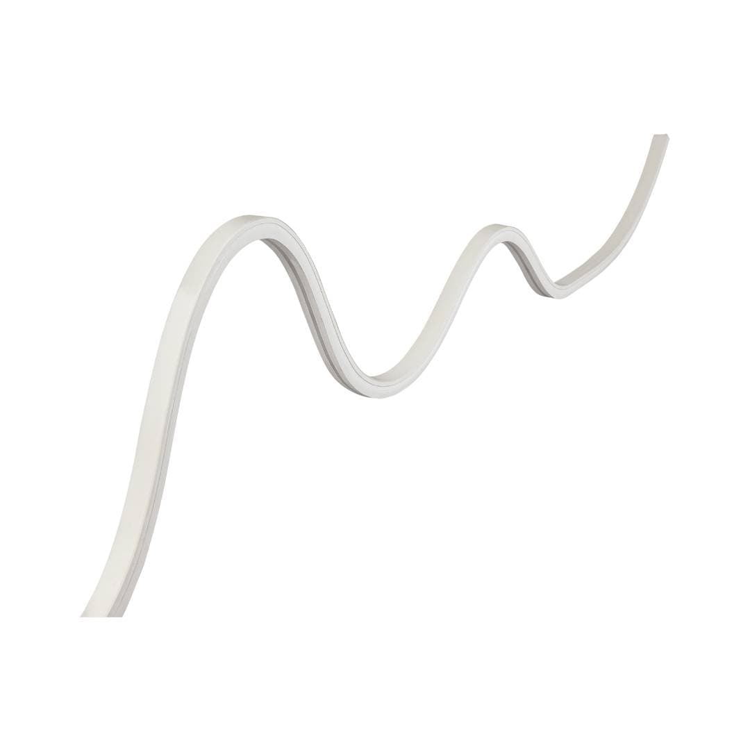 LSNT image 4