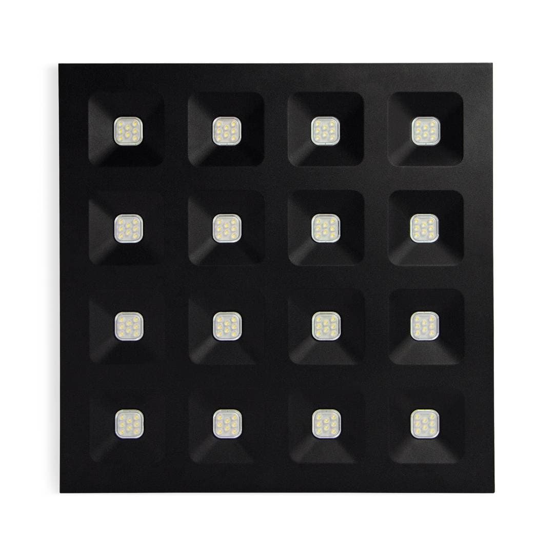 Domino Black image 2