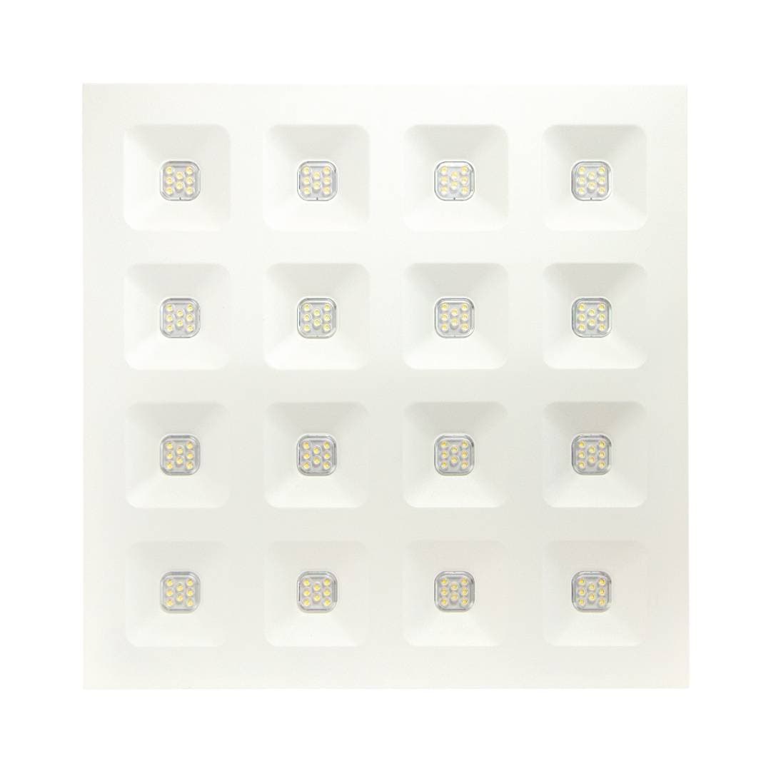 Domino White image 2