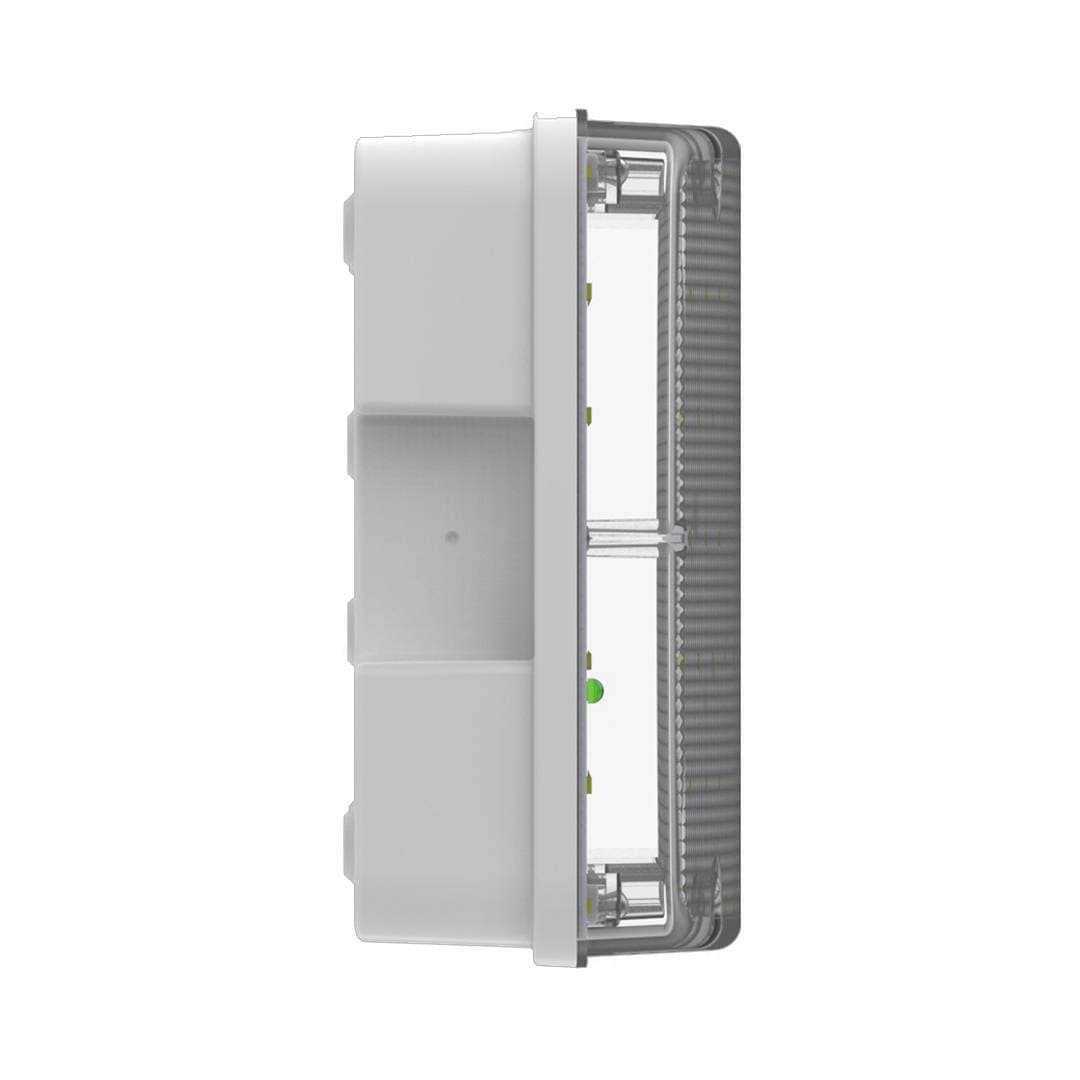 Salvus Max image 3