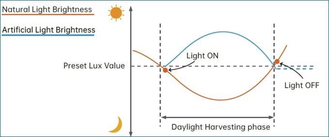PIR & Daylight Sensor image 2