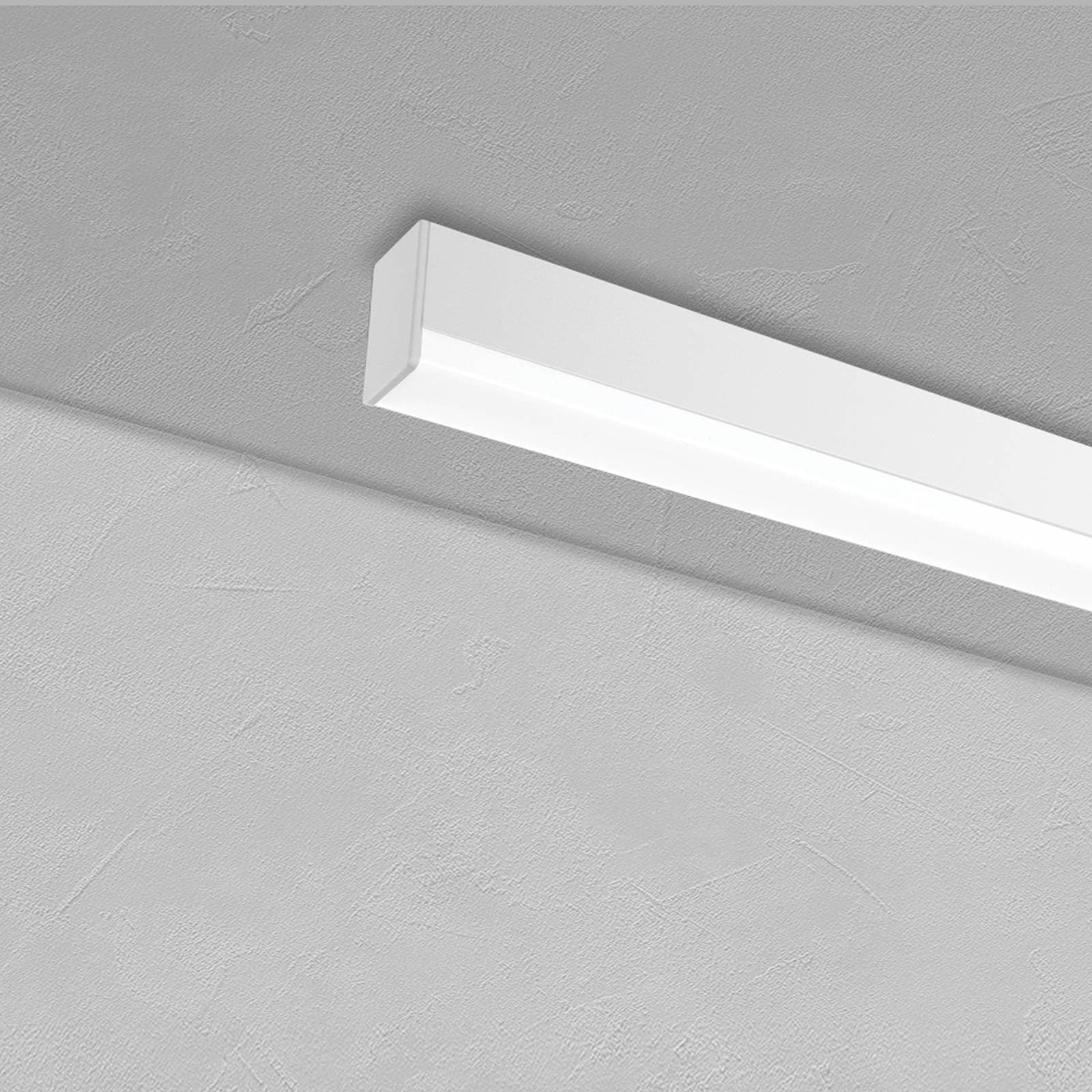 Architectural Profile image 2