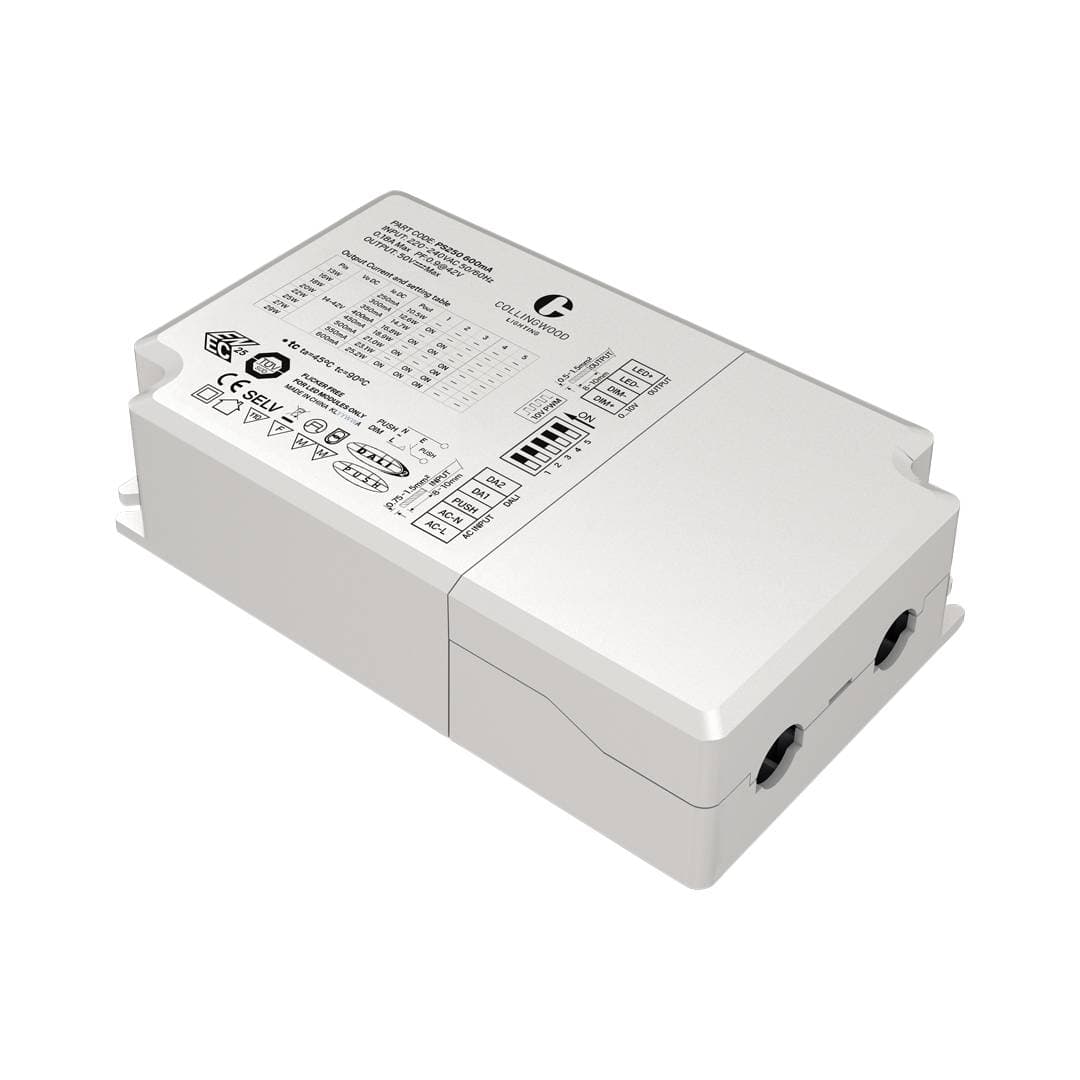 PS250600MA