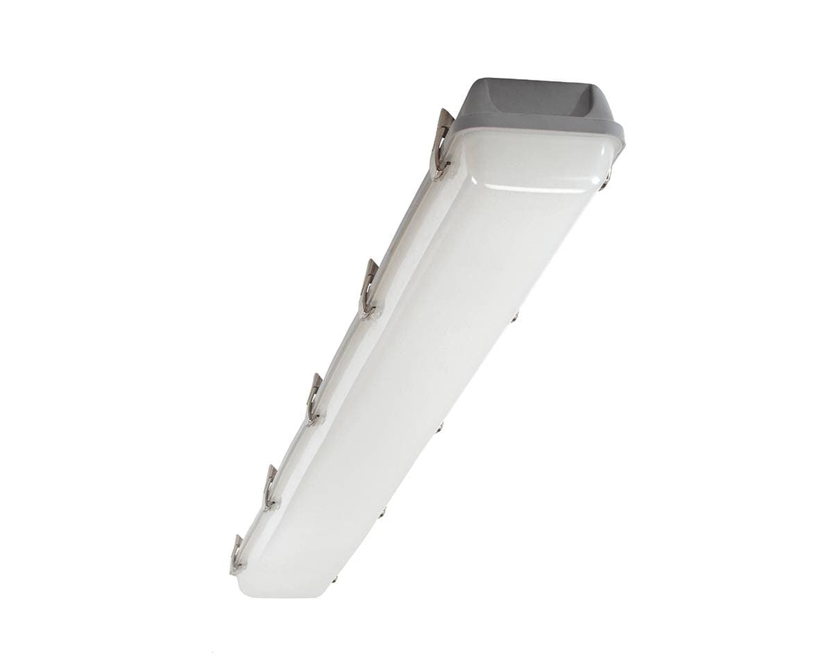 Caiman CSP 4ft Twin