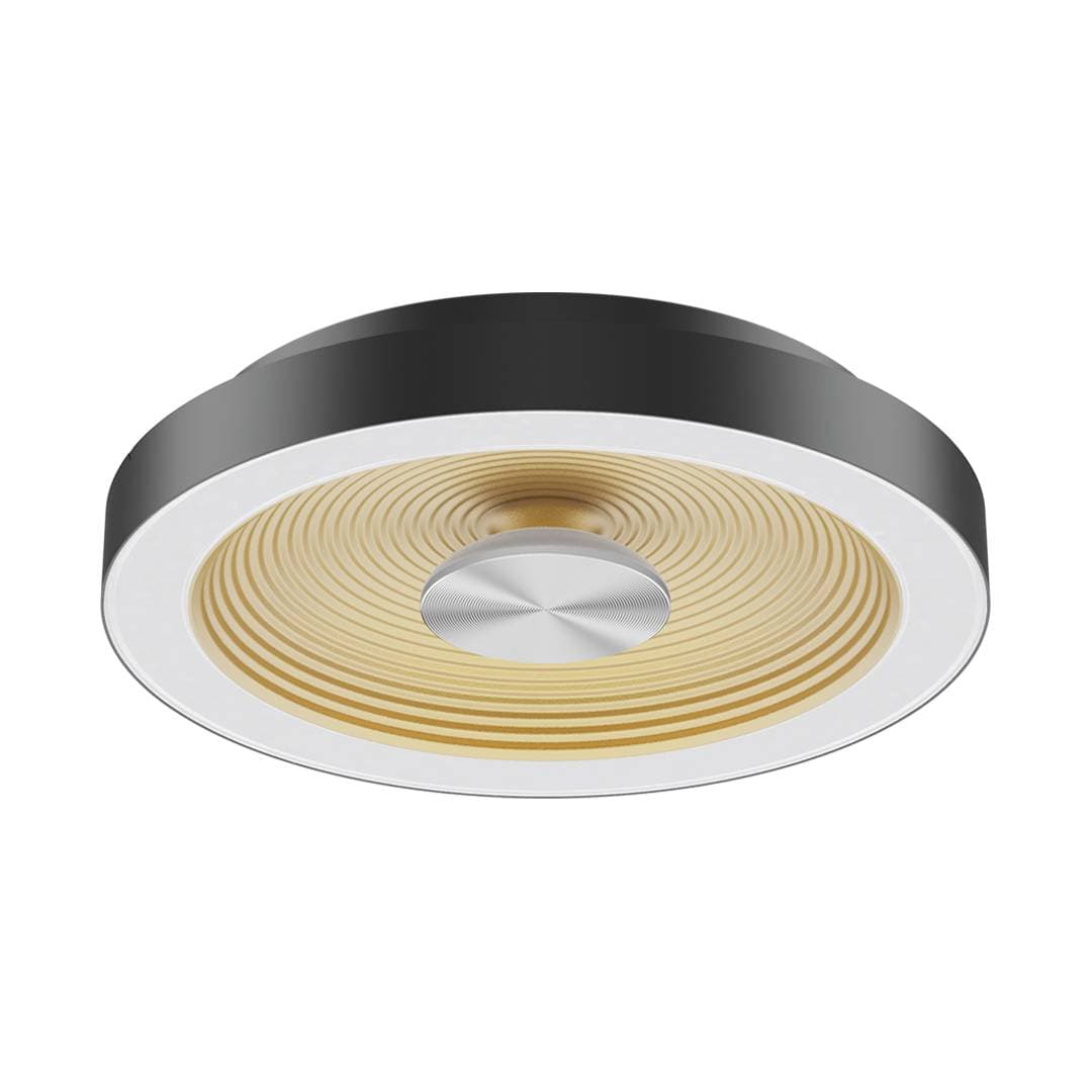 Lustre Ceiling Light image 4
