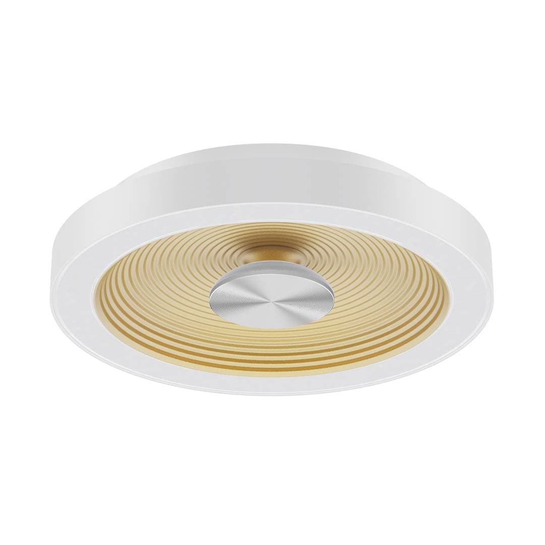 Lustre Ceiling Light