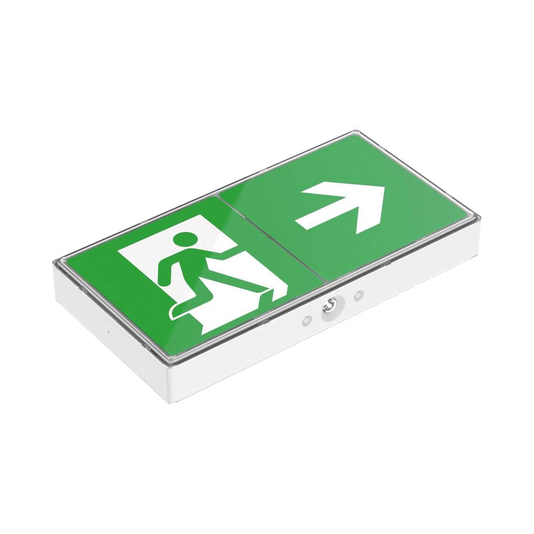 Salvus Exit Box image 2