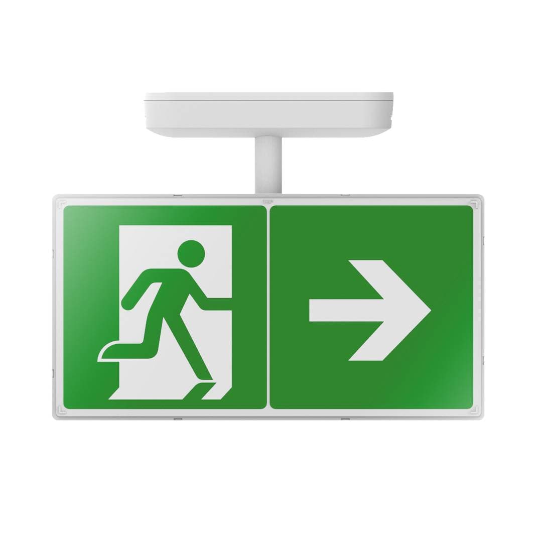 Salvus Exit Box image 5