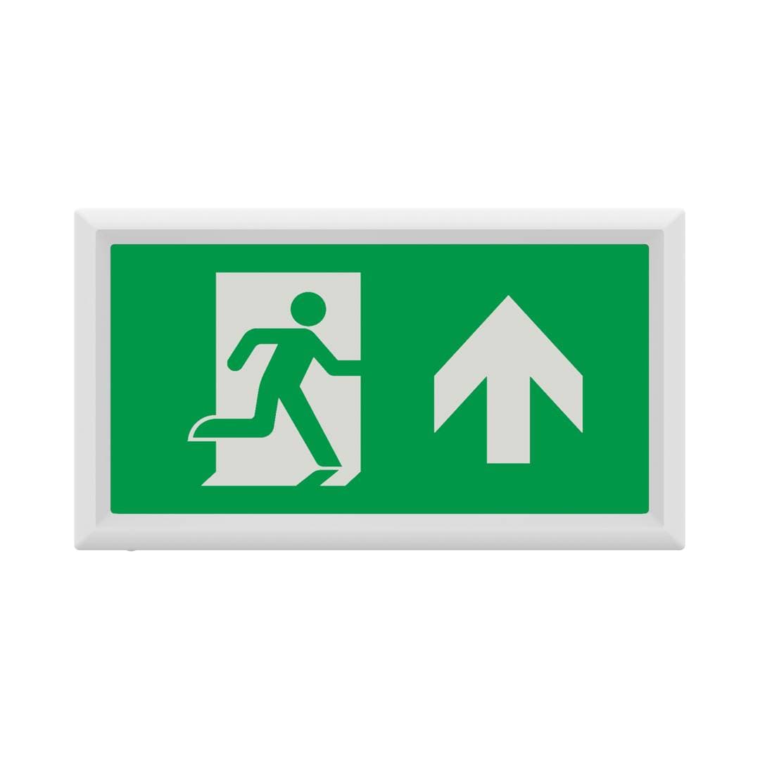 Salvus Exit Box